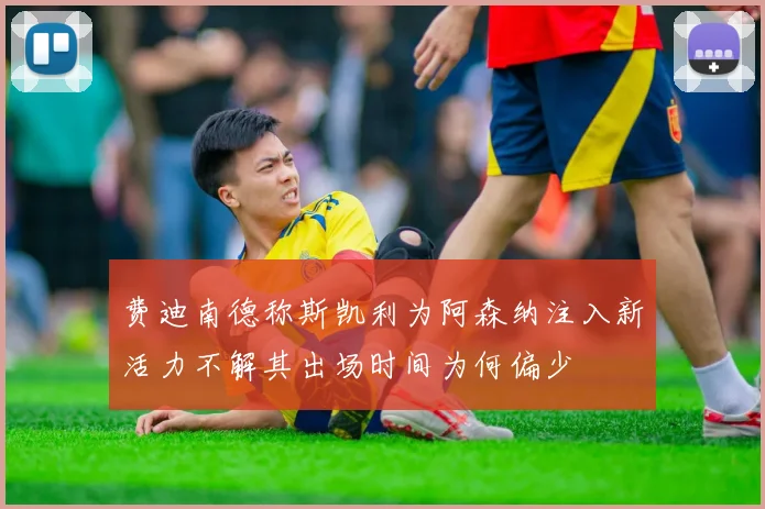 费迪南德称斯凯利为阿森纳注入新活力不解其出场时间为何偏少