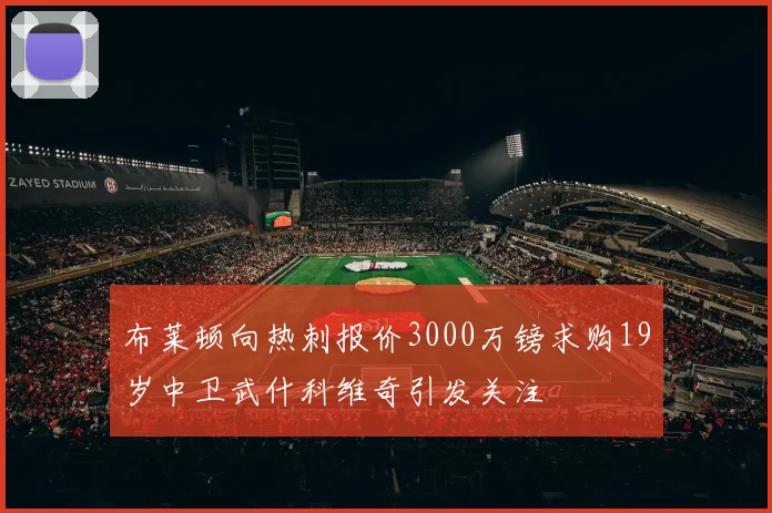 布莱顿向热刺报价3000万镑求购19岁中卫武什科维奇引发关注